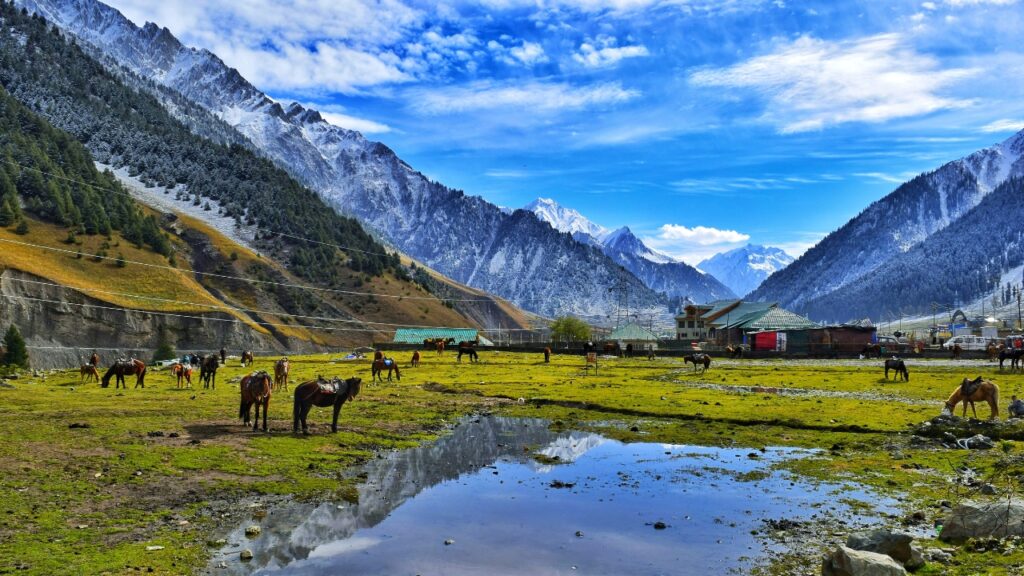 Kashmir Tour- Explore Spark Travels